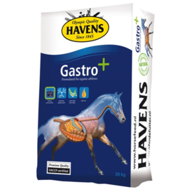 Havens Gastro+