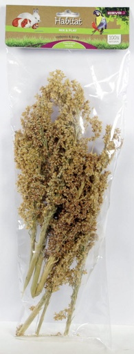 Mix & Play Corn grass