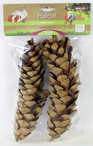 Mix & Play Pine cones large