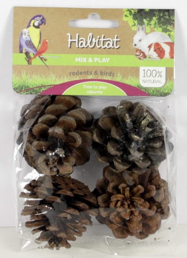 Mix & Play Pine cones small