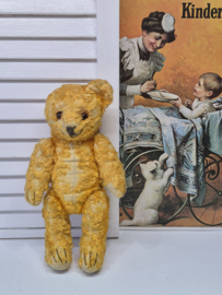 Antiek teddybeertje