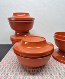 Tupperware seal 'n serve bakje