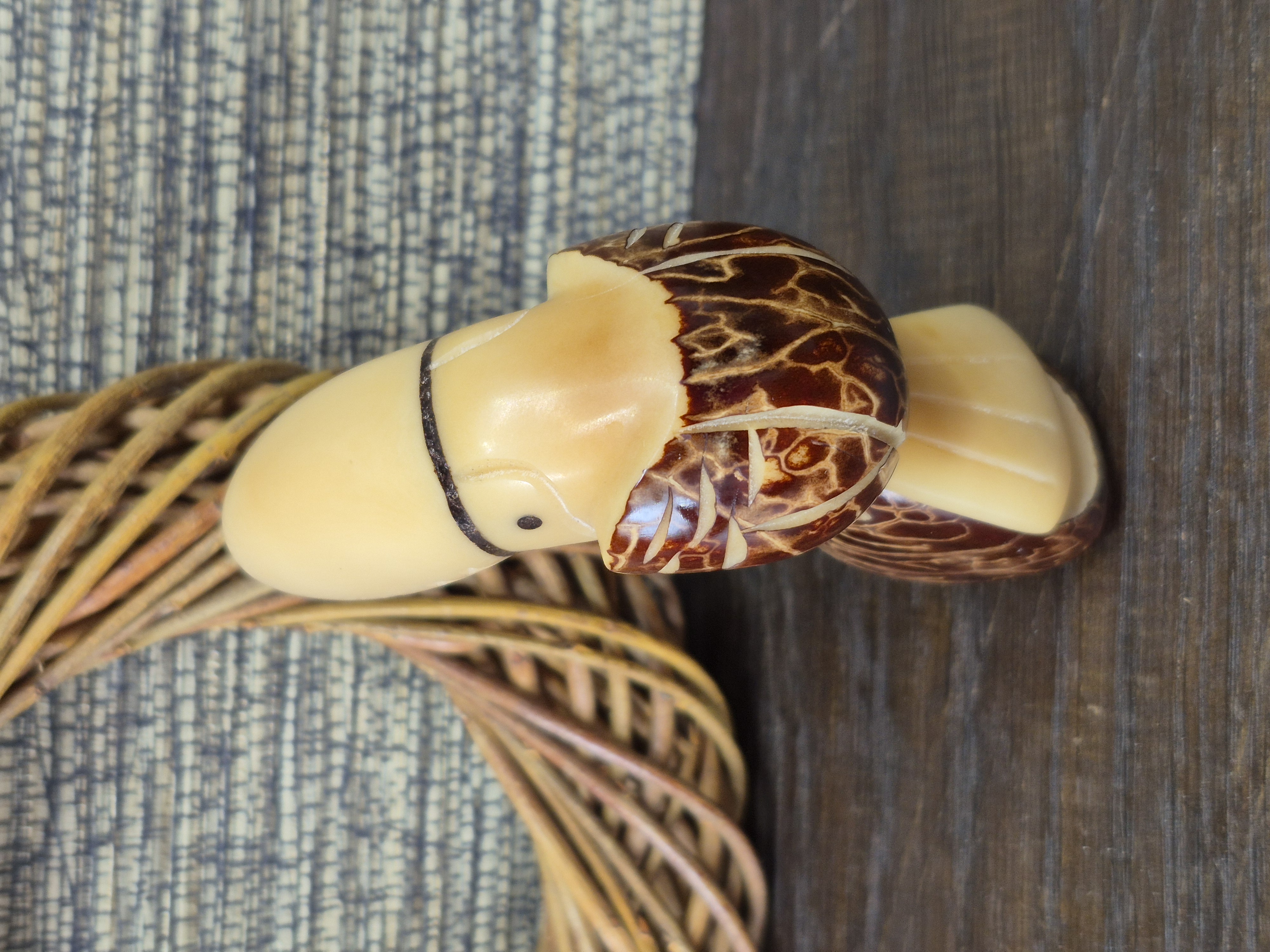 Toekan uit Tagua noot