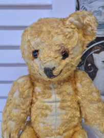 Antiek teddybeertje