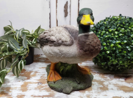 Tuinbeeld, eend