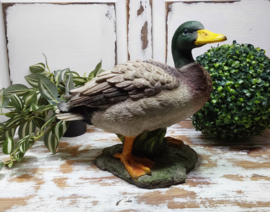 Tuinbeeld, eend