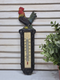Barometers, thermometers