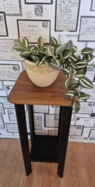 Plantentafel