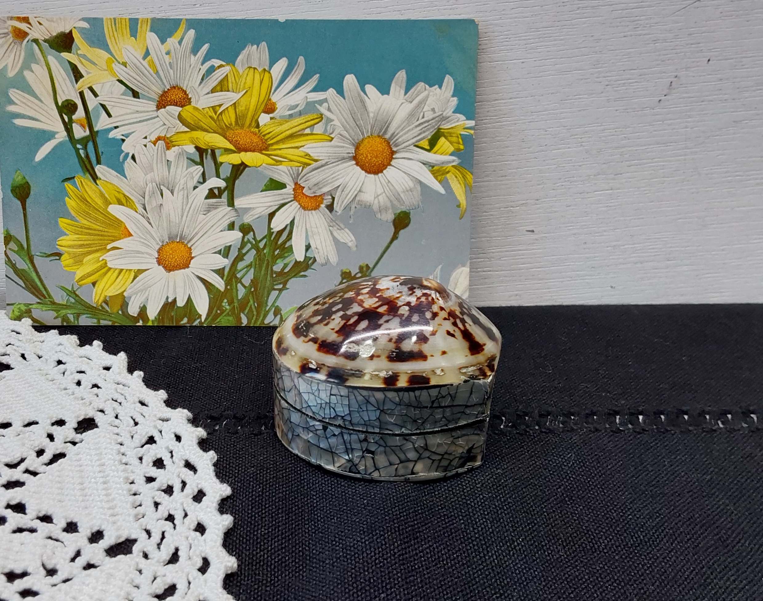 Schelpendoosje