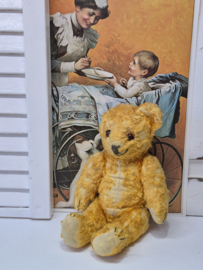 Antiek teddybeertje