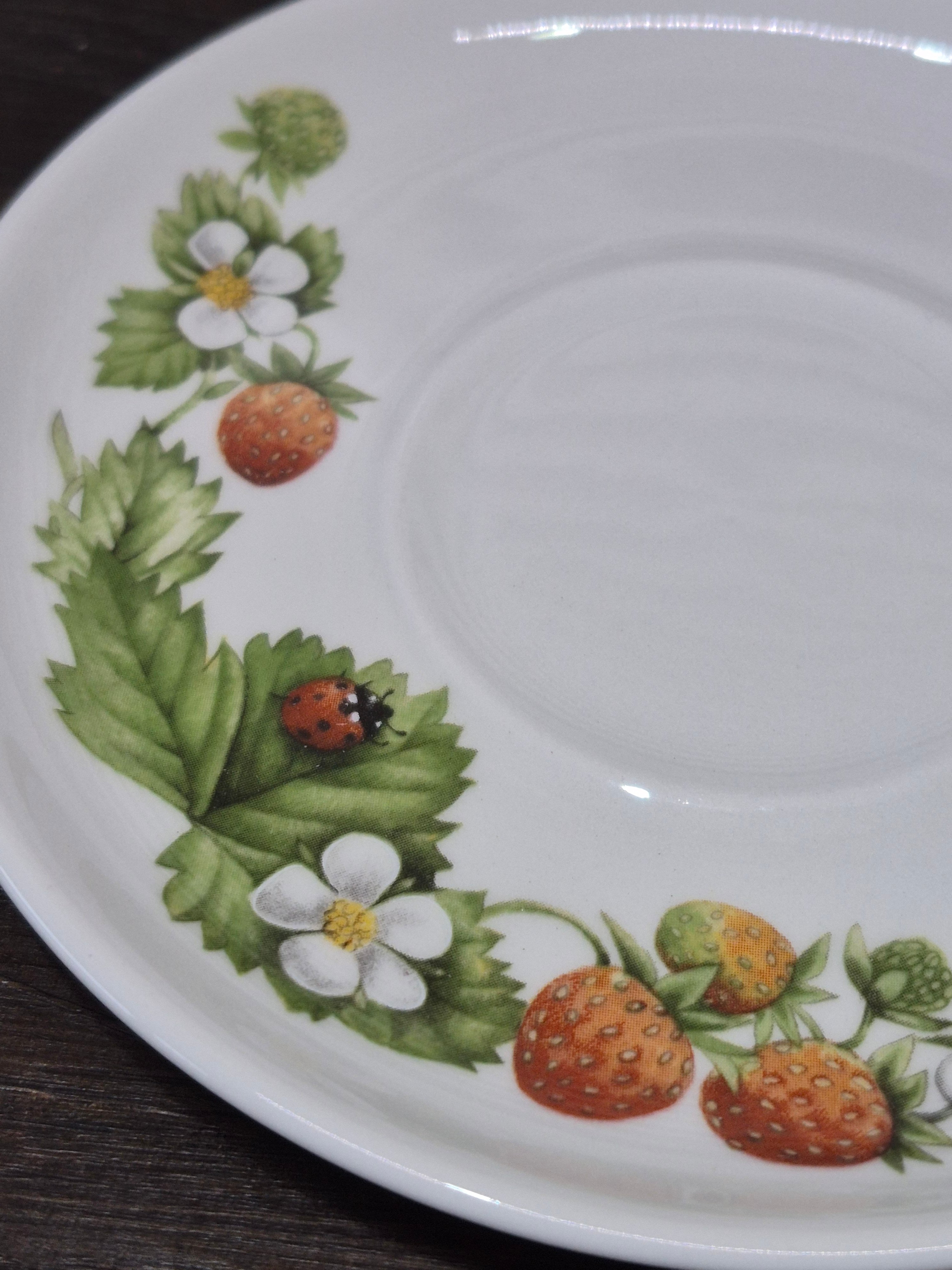 Kopje aardbei, Marjolein Bastin