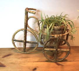 Manou, rotan fietsje voor een plant