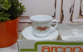 Arcopal kopje, Bagatelle