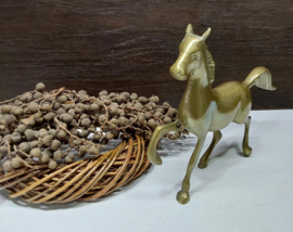 Koperen paard