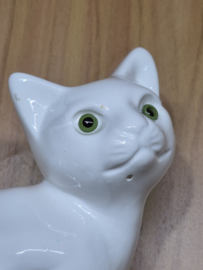 Poes met groene ogen