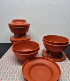 Tupperware seal 'n serve bakje