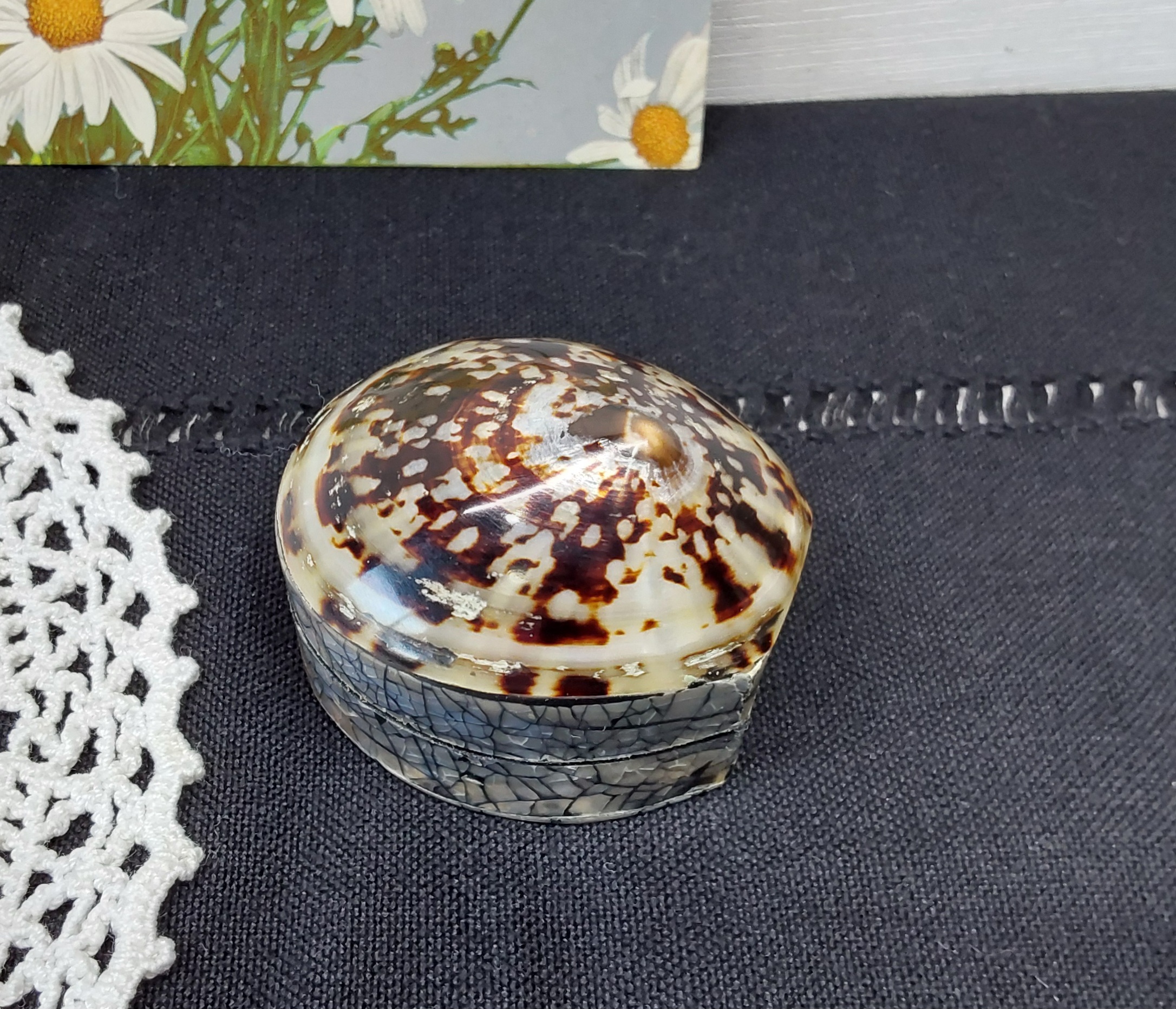 Schelpendoosje