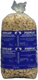 Pionas