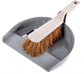 Brush and dust pan