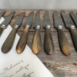 OV20110681 Set of 11 old French knives with bone handle in beautiful condition! Size: 24 cm. long.