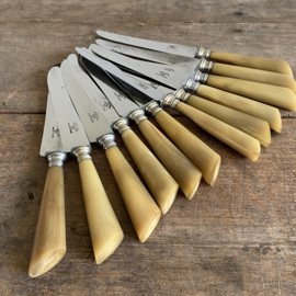 OV20110913 Set of 12 old French knives with stainless steel blade and bone handle inscription - aux 2 lions acteer forgé - in beautiful condition! Size: 24 cm long / +/- 2.5 cm wide.