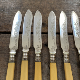 OV20110927 Antique English silver plated (marked EPNS) fish cutlery, 6 pieces. Blade of both knife and fork beautifully decorated. The handle is made of so-called faux ivoire (fake ivory) Size: 21 cm long (knife)/18 cm long (fork) in beautiful condition