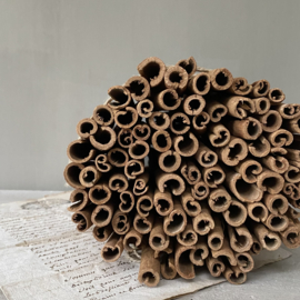 OV20110762 Large bundle of scented cinnamon sticks for decorative use. Size: 20 cm. high / +/- 16 cm. cross section