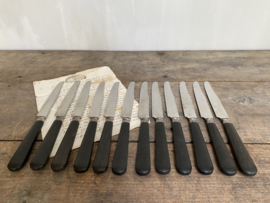 OV20110733 Set of 12 old French identical knives with ebony handle and stainless steel mark - Sudex Thiers - In beautiful condition! Size: 25.5 cm. long / 2 cm. wide.