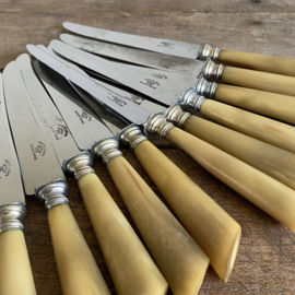 OV20110913 Set of 12 old French knives with stainless steel blade and bone handle inscription - aux 2 lions acteer forgé - in beautiful condition! Size: 24 cm long / +/- 2.5 cm wide.