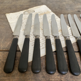 OV20110733 Set of 12 old French identical knives with ebony handle and stainless steel mark - Sudex Thiers - In beautiful condition! Size: 25.5 cm. long / 2 cm. wide.