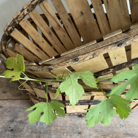 BU20110129 The authentic old French grape harvest baskets from Provence made of chestnut wood in beautiful condition! Size: 68 cm long / 46.5 cm cross section / 29 cm high. Mentioned price is per basket!