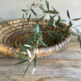 OV20110667 Old French olive harvest basket of woven straw in weathered, but beautiful condition! Size: 12 cm. high / 44.5 cm. cross section.