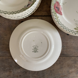 AW20111080 Set of 15 antique French dinner plates decorated with anemones stamp - Creil et Montereau Labrador period: 1894-1920 all in beautiful condition! Size: 24 cm cross section.