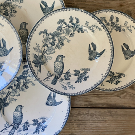 AW20111316 Set of 6 antique French deep plates stamped - Mésange Longwy period: 19th century in beautiful iron blue..some slightly stained, one minimal chip (see photo) otherwise in beautiful condition!  Size: 22,5 cm cross section.