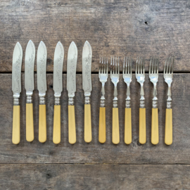 OV20110927 Antique English silver plated (marked EPNS) fish cutlery, 6 pieces. Blade of both knife and fork beautifully decorated. The handle is made of so-called faux ivoire (fake ivory) Size: 21 cm long (knife)/18 cm long (fork) in beautiful condition