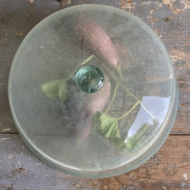 BU20110114 Large antique southern French vegetable garden/melon cloche of mouth-blown glass with still intact handle. Period: 19th century in beautiful condition! Size: 27 cm. high (up to the handle) / 50 cm. cross section. Pick up only!