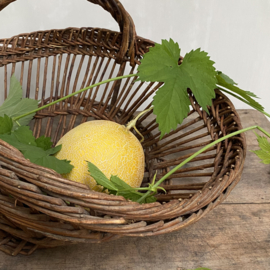 BU20110102 Large old French harvest basket of woven willow wood in beautiful condition! Size: 28 cm. high (to handle) / 58.5 cm. long / 41 cm. cross section