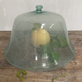 BU20110100 Grote antieke Zuid-Franse moestuin cloche van mond geblazen geblazen glas met nog intacte greep. Periode eind 18de eeuw in prachtige staat! Afmeting: 50 cm. doorsnede / 30 cm. hoog. Alleen ophalen in de winkel, verzenden niet mogelijk!