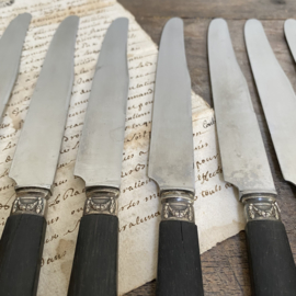 OV20110733 Set of 12 old French identical knives with ebony handle and stainless steel mark - Sudex Thiers - In beautiful condition! Size: 25.5 cm. long / 2 cm. wide.