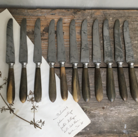 OV20110681 Set of 11 old French knives with bone handle in beautiful condition! Size: 24 cm. long.