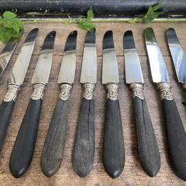 OV20110841 Set of 10 old French knives with presumably ebony handle and stainless steel blade marked - J.Rigault Melun - in beautiful still usable condition! Size: 25 cm. long / 2 cm. wide.