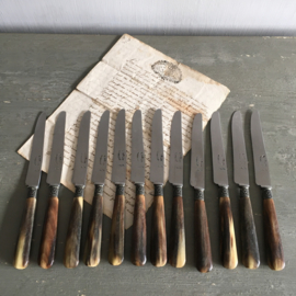 OV2110727 Set of 12 old Belgian dessert knives made of polished horn and stainless steel mark - K. Nelis Gembloux - in beautiful condition! Size: 20.5 cm. long.