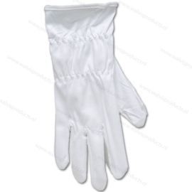 Audio Anatomy Microfiber Vinyl Record Cleaning Gloves - Medium - white