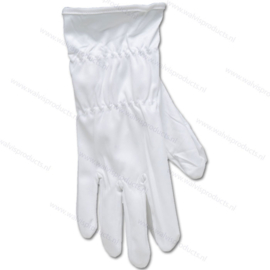 Audio Anatomy Microfiber Vinyl Record Cleaning Gloves - Small - white
