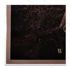 100 stuks - Blake Sleeves - LP hoezen, met klep, dikte 0.05 mm.
