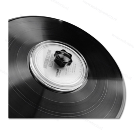 Vinyl Record Waterproof Label Protector