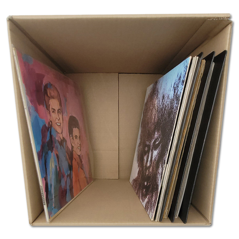 15 stuks - Professionele verzenddozen voor ca. 100 stuks LP's