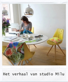 studio Milu