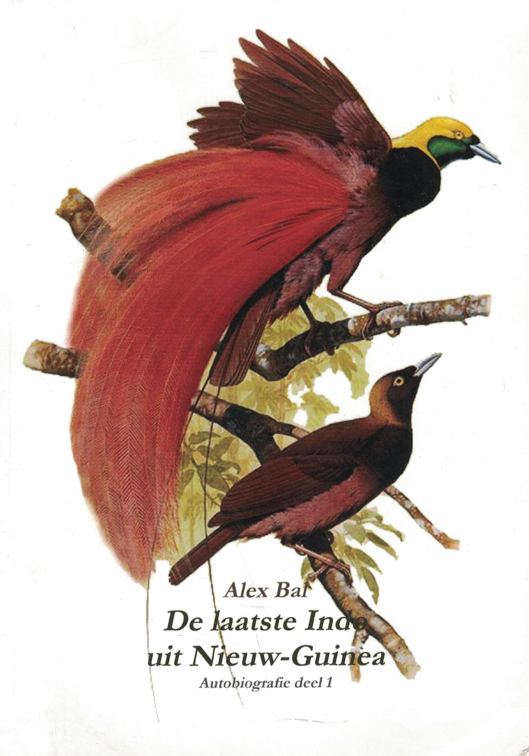 De laatste Indo uit Nieuw-Guinea - Autobiografie deel 1