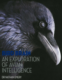Bird Brain - An Exploration of Avian Intelligence